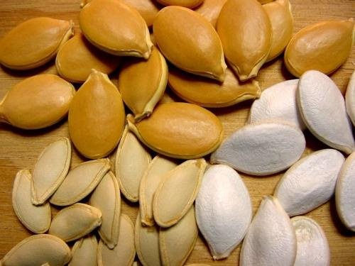 Какие семена выбрать для посадки