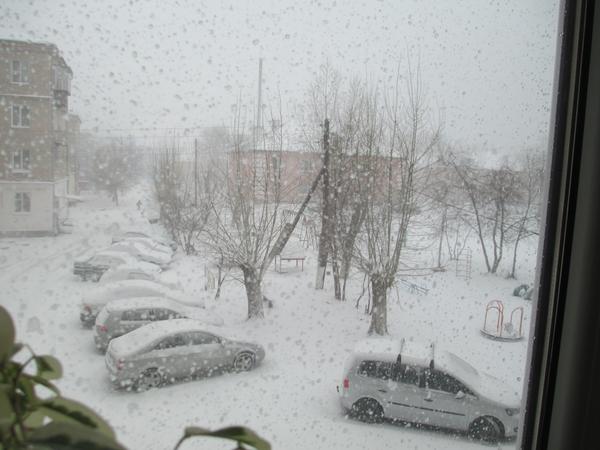 погода в конце апреля 25.04.14г.