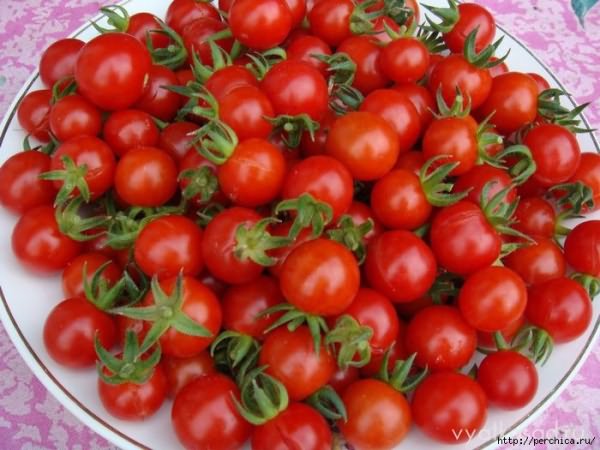 4979645_DSC09424 (700x525, 192Kb)