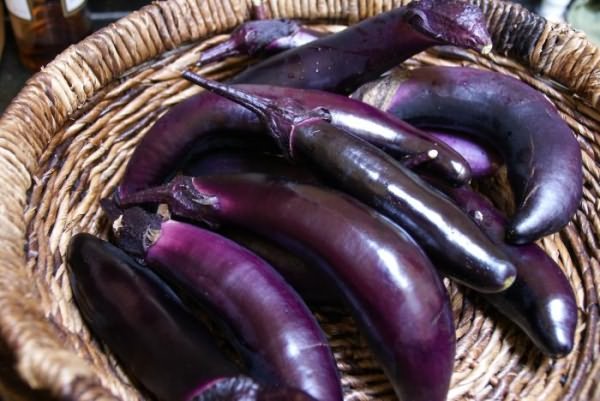 Баклажаны уход и выращивание
