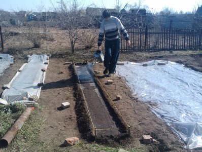 Снимок полива редиса