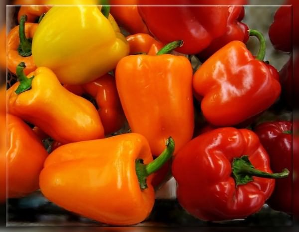 Перец Как выращивать болгарский перец