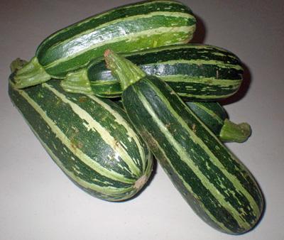 Вкусные сорта кабачков