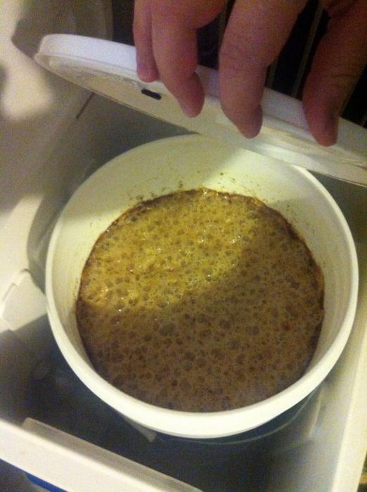 подкомка рассады томатов после пикировки дрожжами