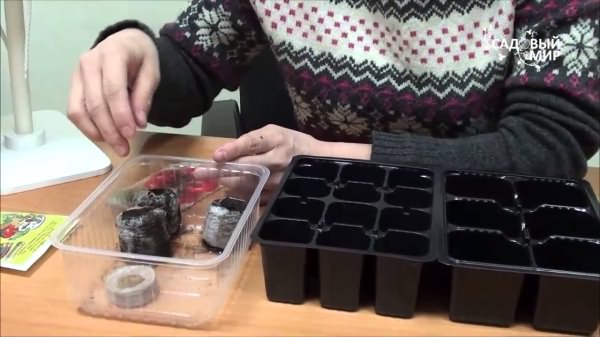 Подготовка почвы для рассады томатов Подготовка почвы для рассады томатов