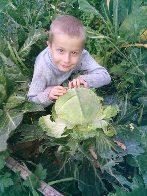 мой сынка в капусте мой сынка в капусте