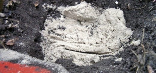 Опудривание почвы золой, 4homes.ru