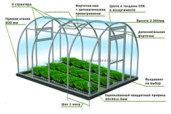 Схема устройства теплицы Схема устройства теплицы