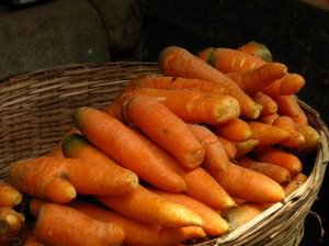 Фото моркови для длительного хранения, refunits.com