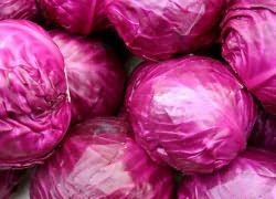 какая капуста самая полезная