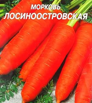 Морковь Лосиноостровская Морковь Лосиноостровская