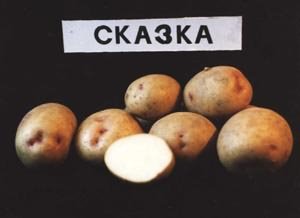 сорт сказка