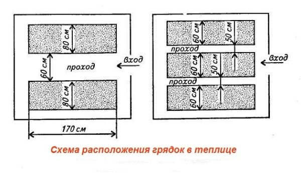 Пример схемы расположения грядок под томаты Пример схемы расположения грядок под томаты