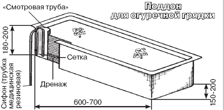 Схема поддона-грядки для огурцов Схема поддона-грядки для огурцов