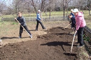 Подготовка почвы Подготовка теплицы