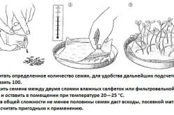 Подготовка посевного материала. Подготовка посевного материала.