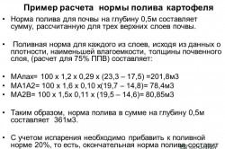 Пример расчета норм полива картофеля Пример расчета норм полива картофеля