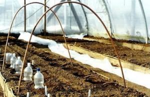 Установленные на грядках дуги позволят быстро создать дополнительное укрытие Установленные на грядках дуги позволят быстро создать дополнительное укрытие