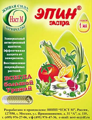 Раствор Раствор