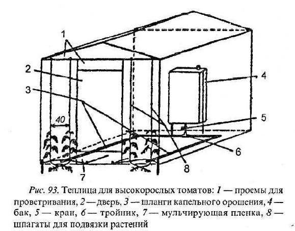 Теплица для высокорослых томатов Теплица для высокорослых томатов