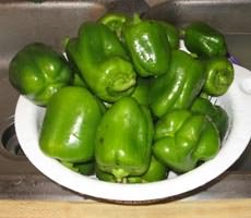Сбор урожая перца Сбор урожая перца