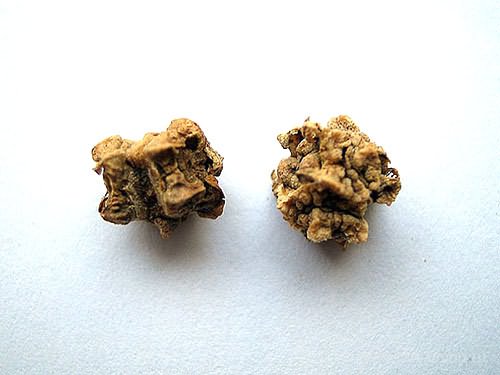 Семена свеклы Семена свеклы
