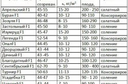 Схема сортов огурцов