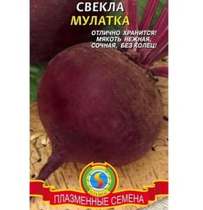 На фото - семена свеклы Мулатка, green-club.com.ua На фото - семена свеклы Мулатка, green-club.com.ua