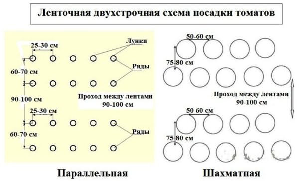 Схема ленточно-двухстрочной посадки помидоров Схема ленточно-двухстрочной посадки
