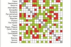 Таблица совместимости выращивания овощей в теплице Таблица совместимости выращивания овощей в теплице