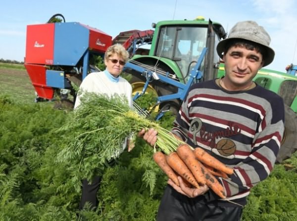 Все зависит от вас