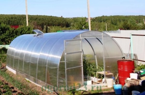 Выращивание огурцов в теплице из поликарбоната - выбор места выращивание огурцов в теплице из поликарбоната 3