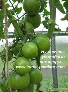 урожайность урожайность