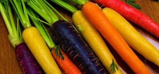 Изображение сортов моркови, hitagro.ru Изображение сортов моркови, hitagro.ru