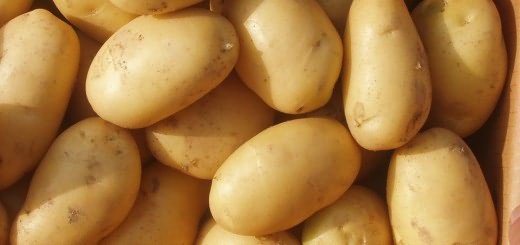 Выращиваем картофель, agriculturesource.com