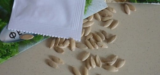 Как сеять огурцы, bp.blogspot.com Как сеять огурцы, bp.blogspot.com