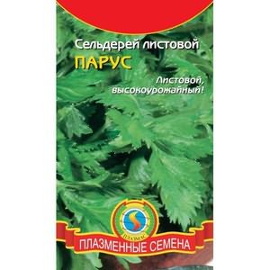 На что важно обращать внимание при выборе семян сельдерея Рекомендации для выбора семян листового и черешкового сельдерея