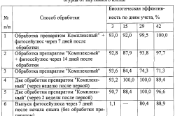 Способ защиты растений огурца Способ защиты растений огурца